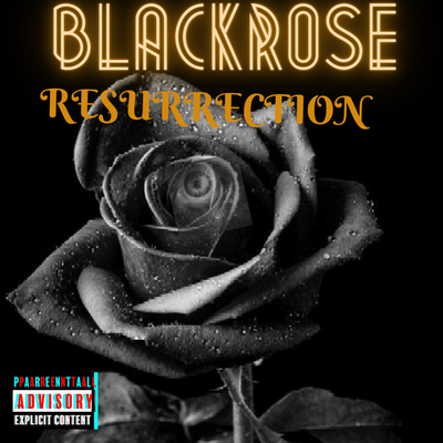 Black Rose's cover