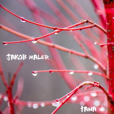 Tana By Jakob Maler's cover