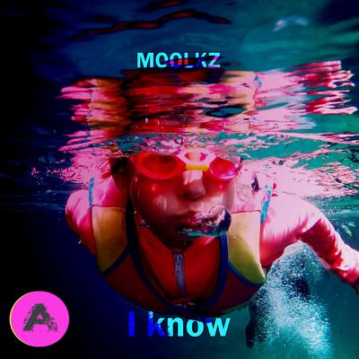 I Know (Radio Mix) By Moolkz's cover