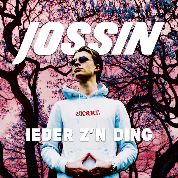 Jossin's avatar image