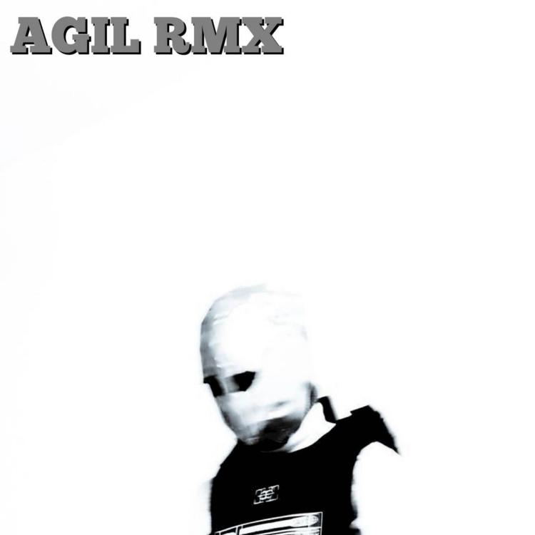 AGIL ID's avatar image