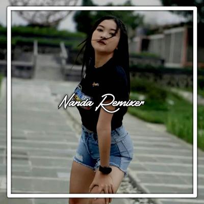 Nanda Remixer's cover