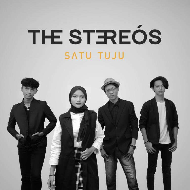 The Stereos's avatar image