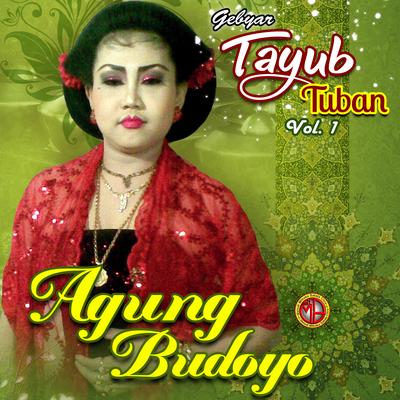 TAYUB AGUNG BUDOYO, Vol. 1's cover