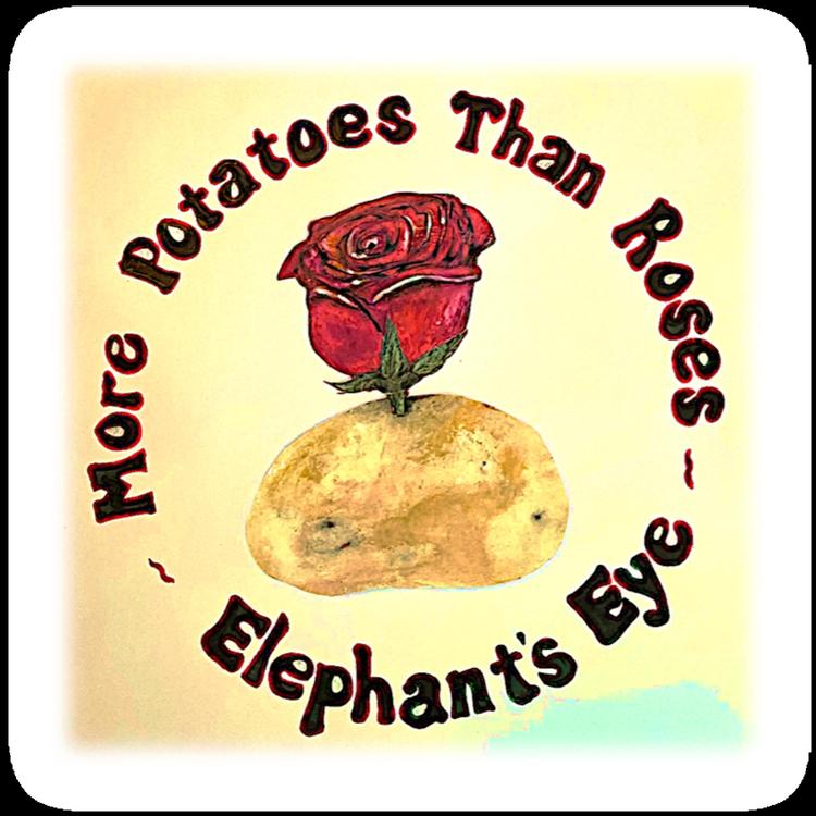 Elephant's Eye's avatar image