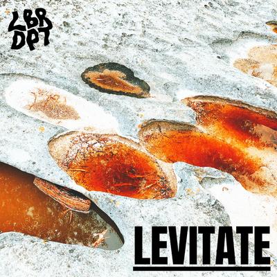Levitate By LBR DPT's cover