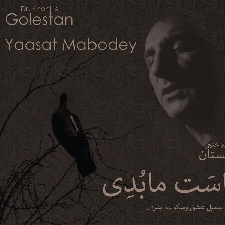 Golestan's avatar image