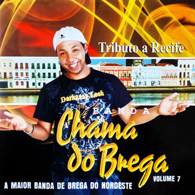 Tributo a Recife, Vol. 7 (A Maior Banda de Brega do Nordeste)'s cover