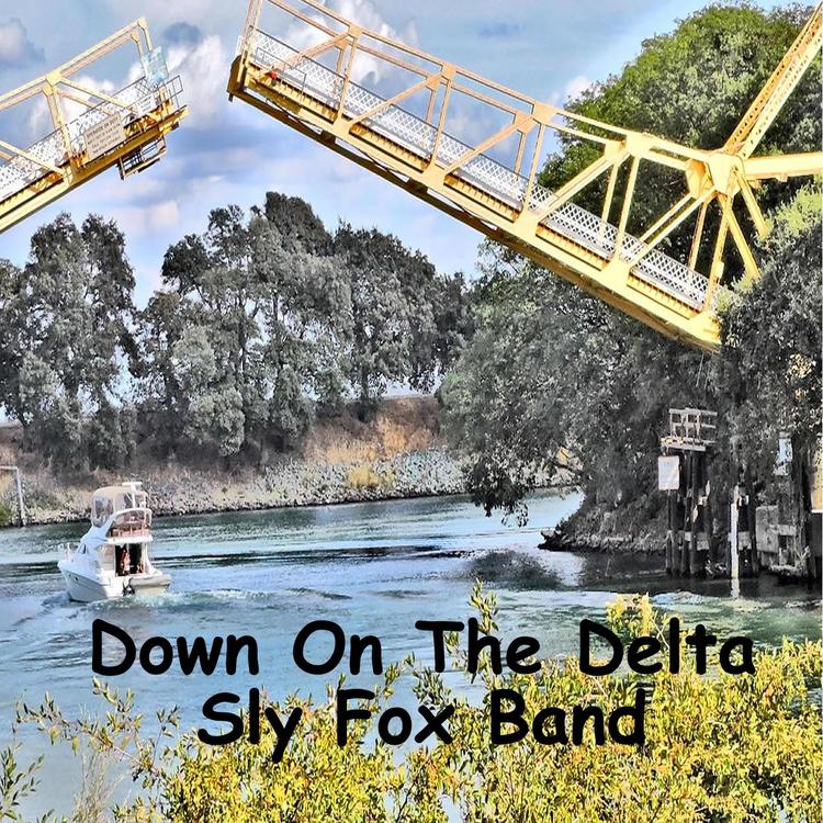 Sly Fox Band's avatar image