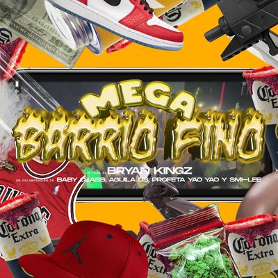 Mega barrio fino's cover