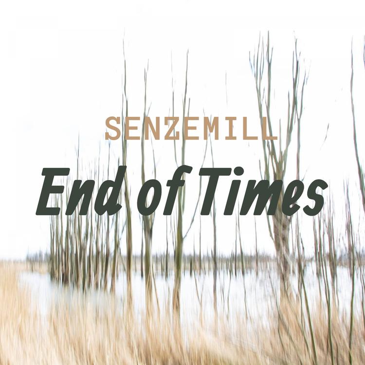 Senzemill's avatar image