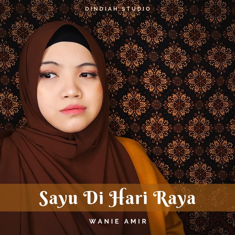 Wanie Amir's avatar image