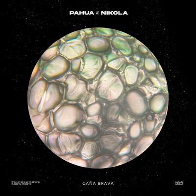 Caña Brava By Pahua, Nikola's cover