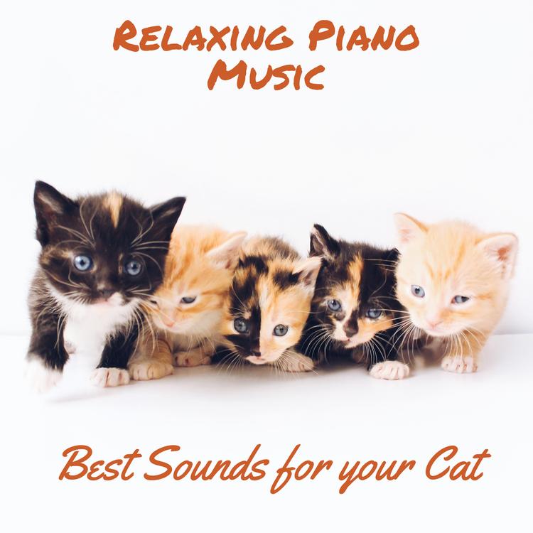 Relaxing Piano Music's avatar image