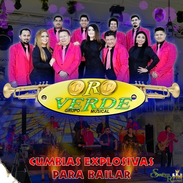 Grupo Musical Oro Verde's avatar image