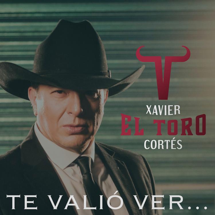 Xavier El Toro Cortés's avatar image