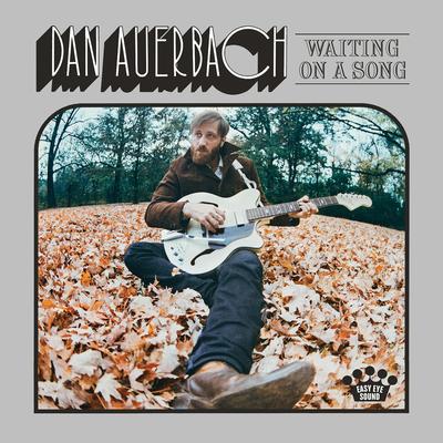 Never in My Wildest Dreams By Dan Auerbach's cover