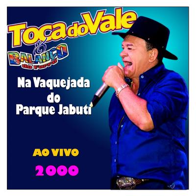 Leviana - TOCA DO VALE By Toca do Vale's cover