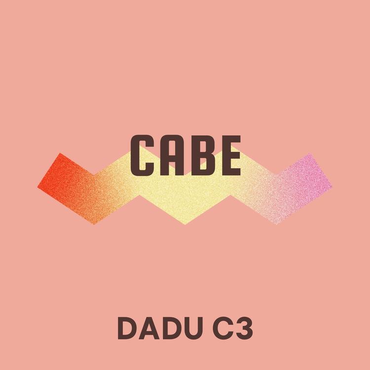 Dadu C3's avatar image