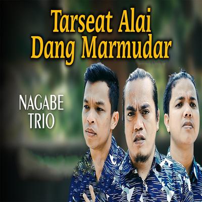 Tarseat Alai Dang Marmudar's cover
