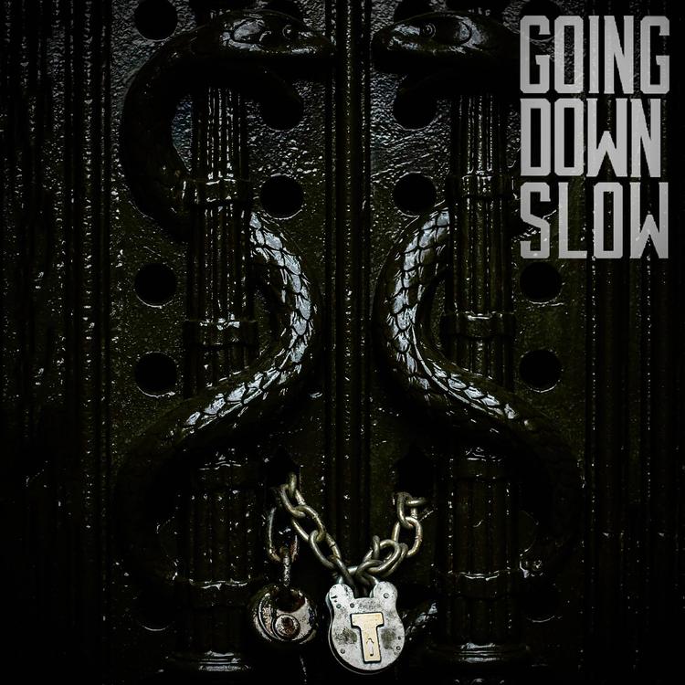 Going Down Slow's avatar image