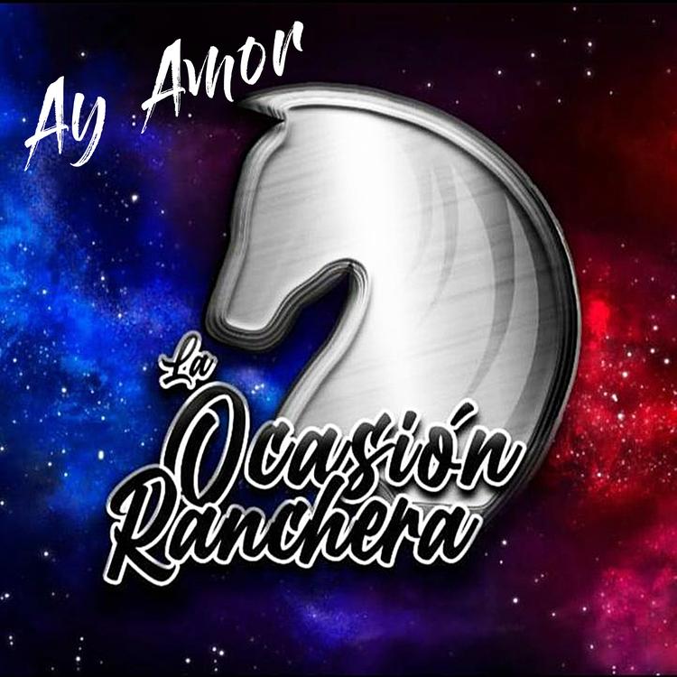 La Ocasión Ranchera's avatar image