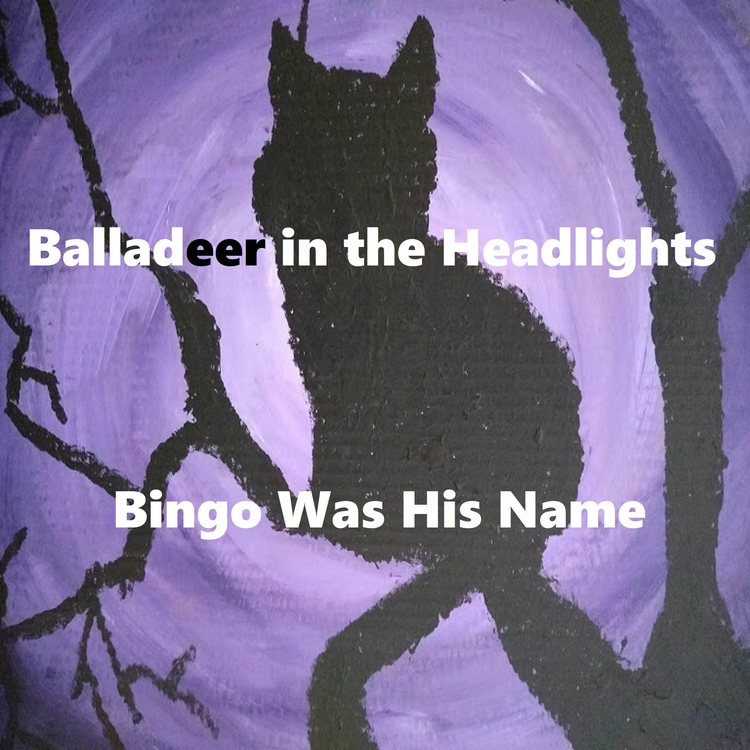 Balladeer in the Headlights's avatar image