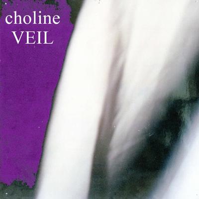 Veil's cover