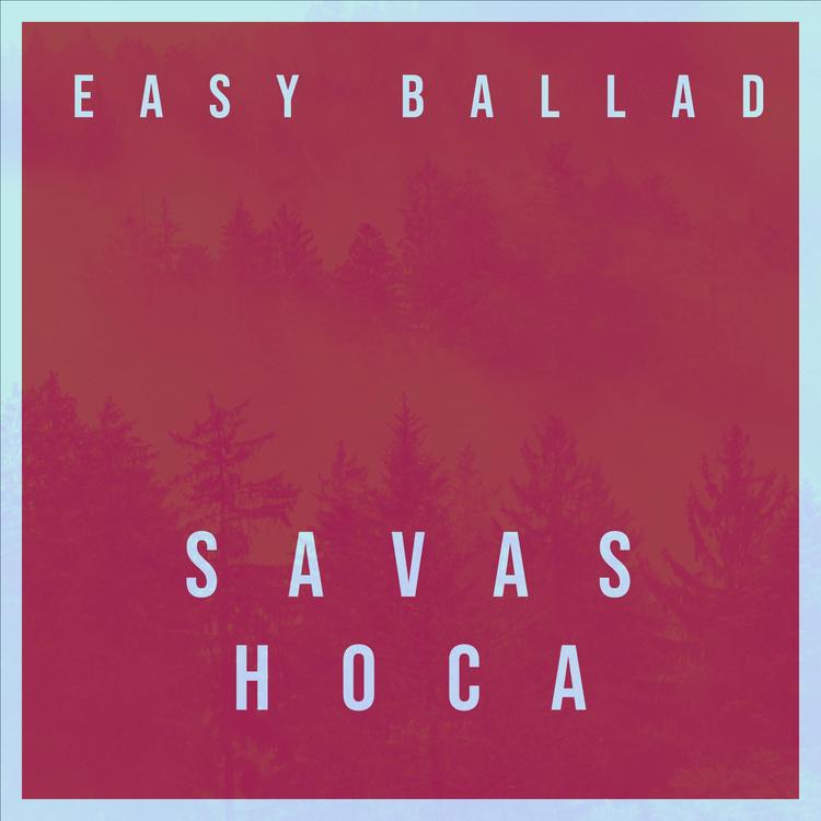 Savas Hoca's avatar image