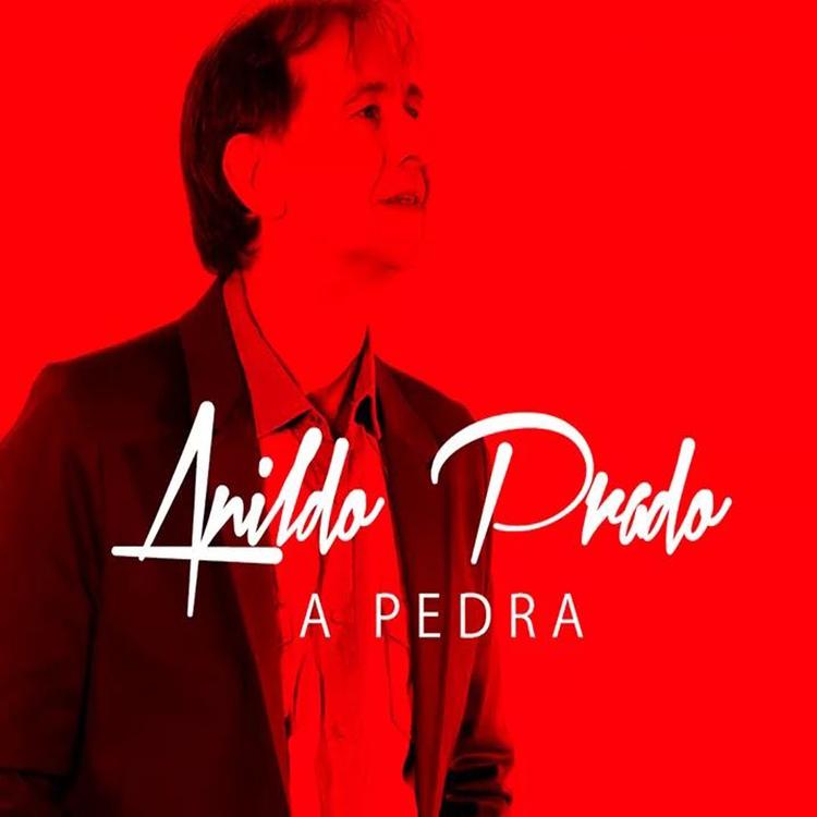 ANILDO PRADO's avatar image