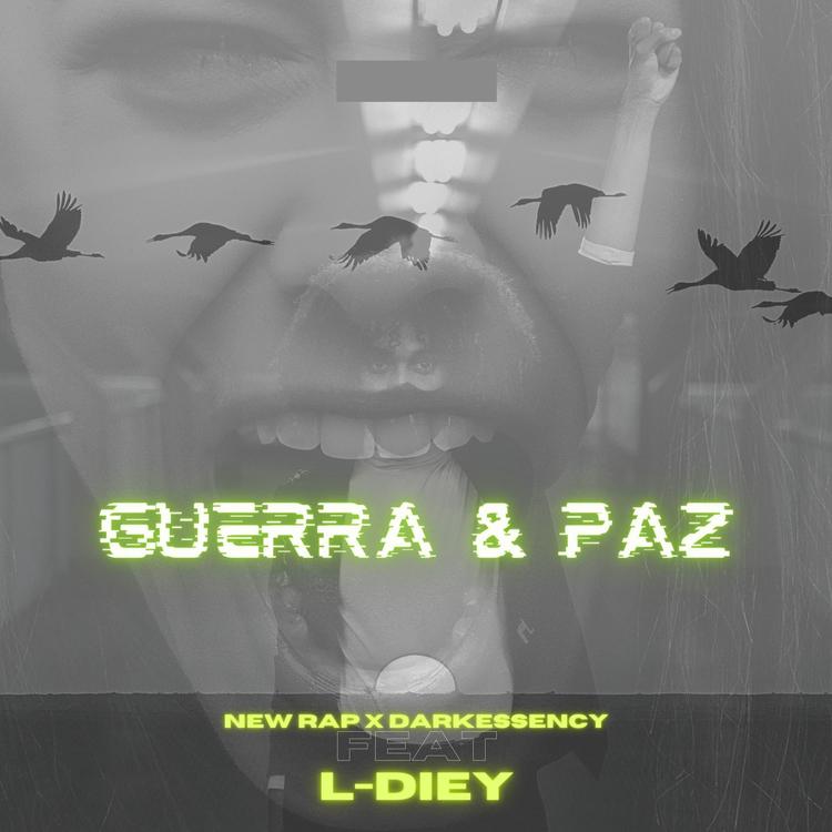 NewRap & Darkessency feat. L-Diey's avatar image