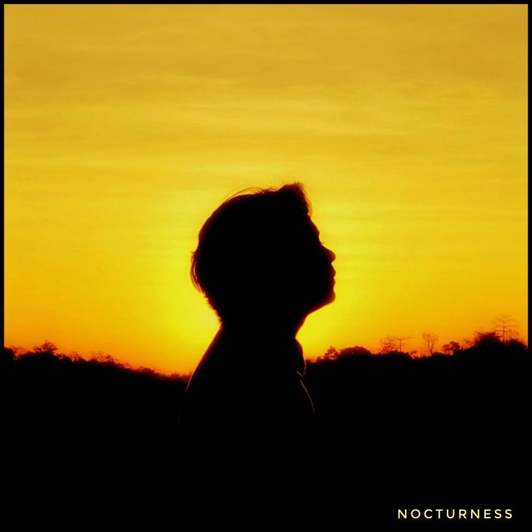 nocturness's avatar image