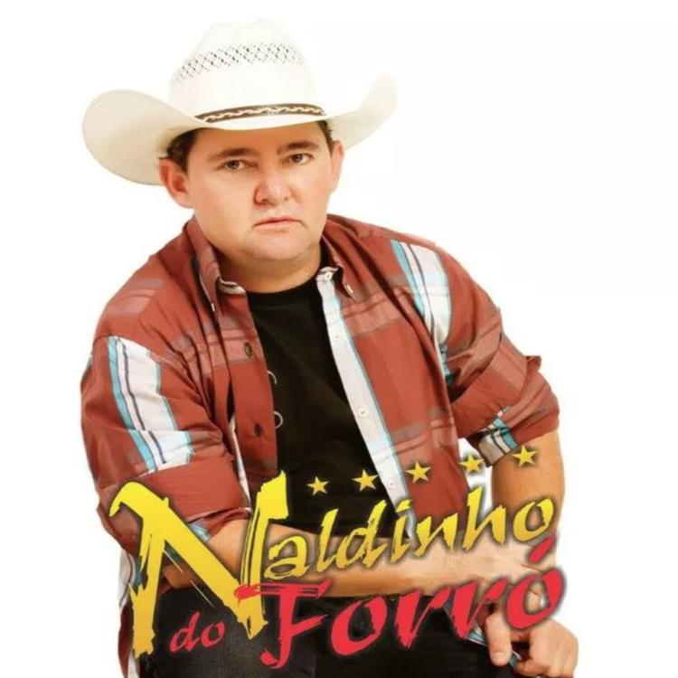 Naldinho do Forró's avatar image