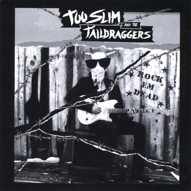 Too Slim and the Taildraggers's avatar image