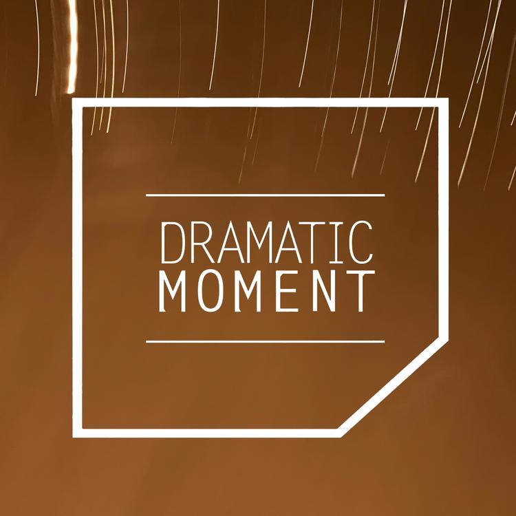 DRAMATIC MOMENT's avatar image