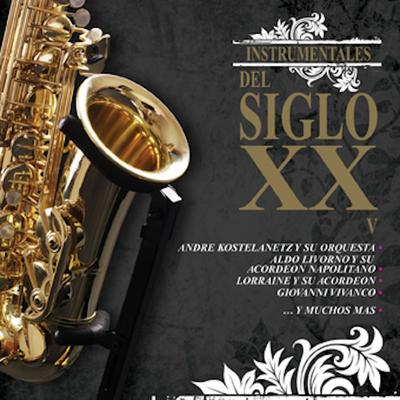 Instrumentales del Siglo XX  Vol. 5's cover