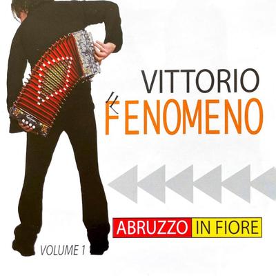 Violino tzigano (Tango bixiq)'s cover