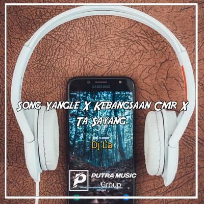 Song Yangle X Kebangsaan Cmr X Ta Sayang (Remix)'s cover