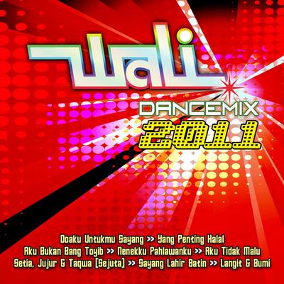 Wali Dance Mix 2011's cover