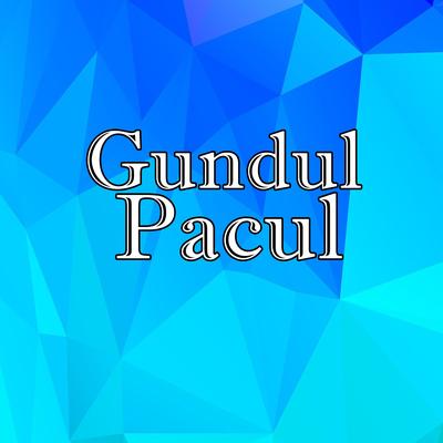 Gundul Pacul's cover