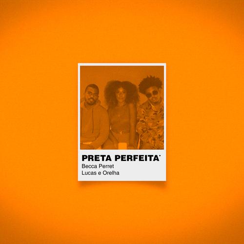 Preta Perfeita's cover