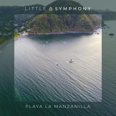 Playa La Manzanilla's cover