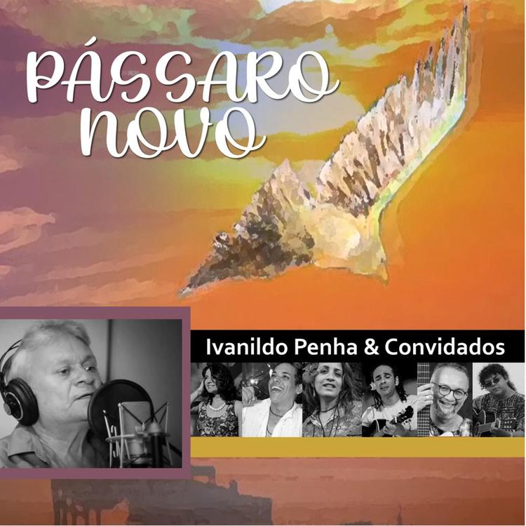 Ivanildo Penha's avatar image