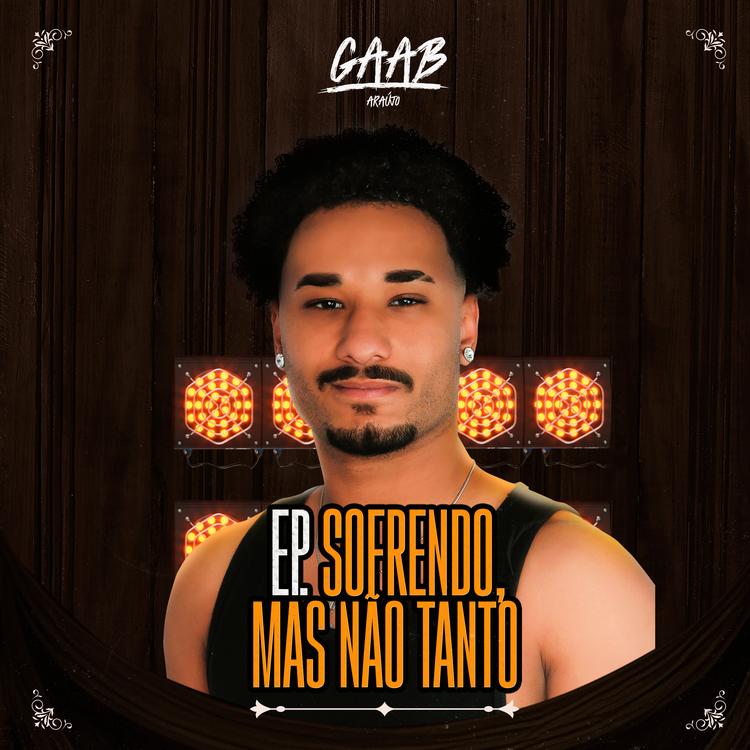 Gaab Araújo's avatar image