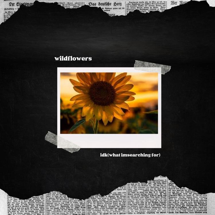 Wildflowers's avatar image