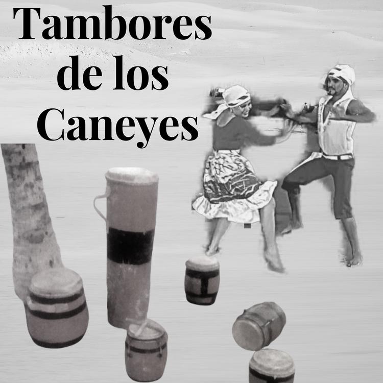 Tambores de los Caneyes's avatar image