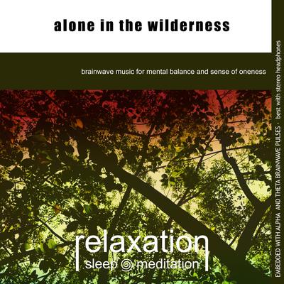 Enter the Forest Solitude By Relaxation Sleep Meditation's cover