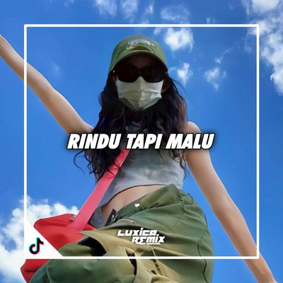 DJ RINDU TAPI MALU BREAKBEAT's cover