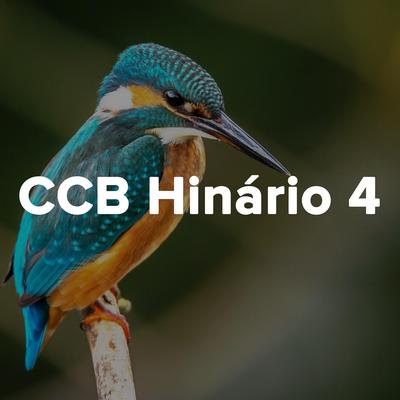 Sou criança Senhor (Hino CCB) By CCB Hinos's cover