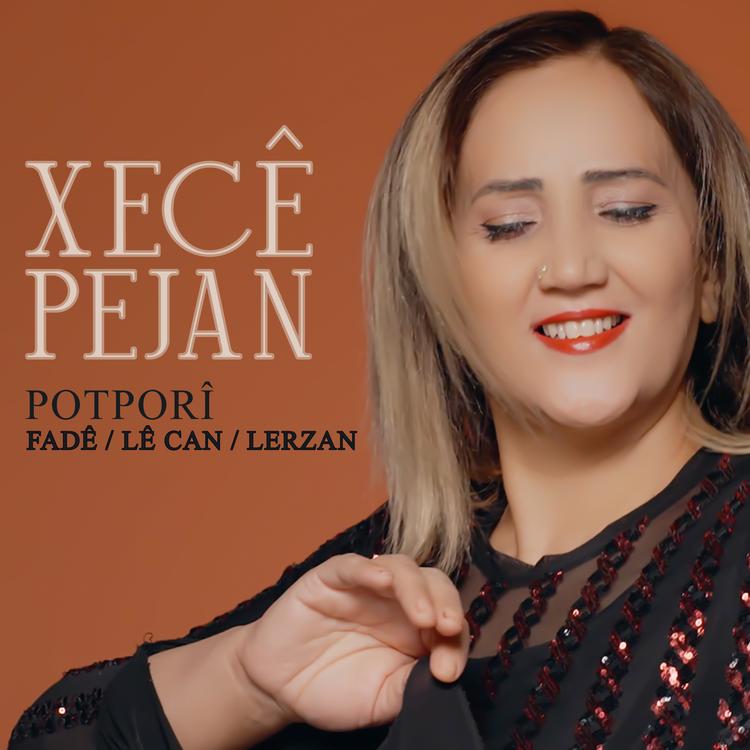 Xecê Pejan's avatar image